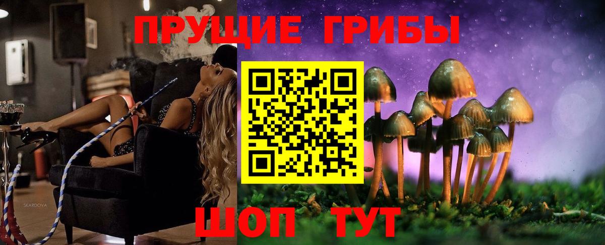 Псилоцибиновые грибы GOLDEN TEACHER Одинцово