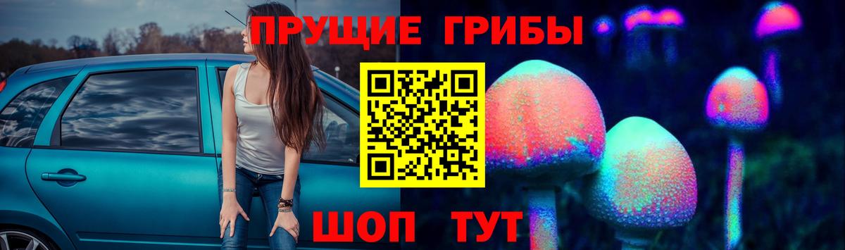 цена   Вход с VPN  Одинцово  Псилоцибиновые грибы GOLDEN TEACHER 